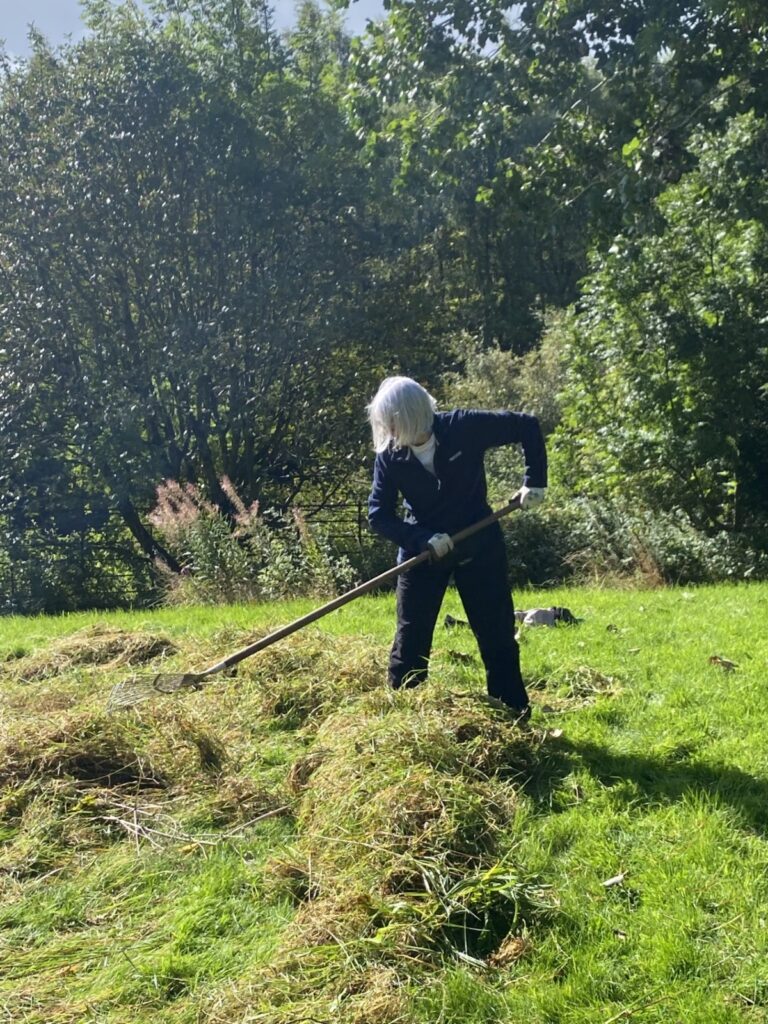 Raking wild flower meadow 2026 09 12 Grow Wild ⓒ RBG Kew